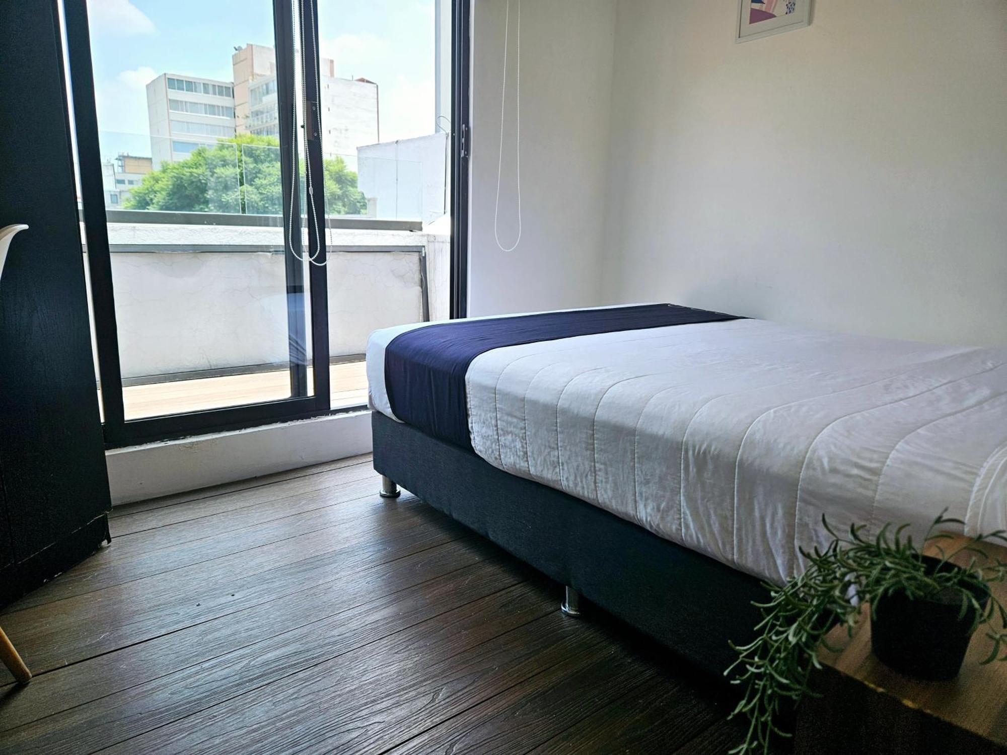 墨西哥城 Singular Socrates酒店 外观 照片
